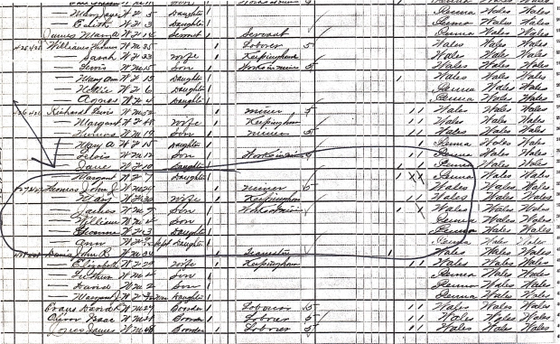 original 1880 census